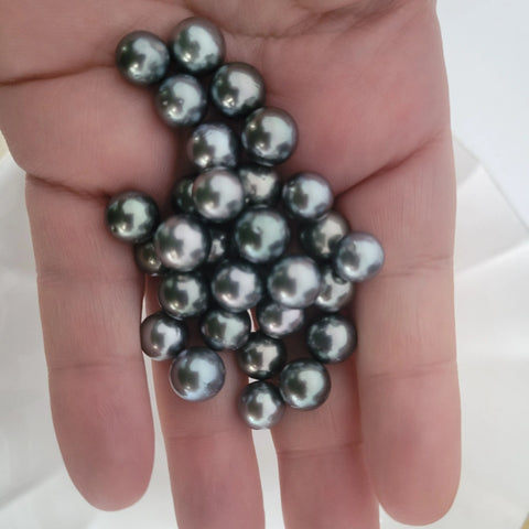 Loose dark Tahitian cultured pearls 9mm round (Pinctada margaritifera) — The South Sea Pearl