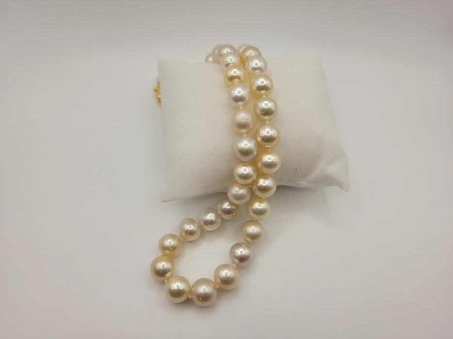 South Sea Pearls 9-11 mm Natural Colors - Only at  The South Sea Pearl