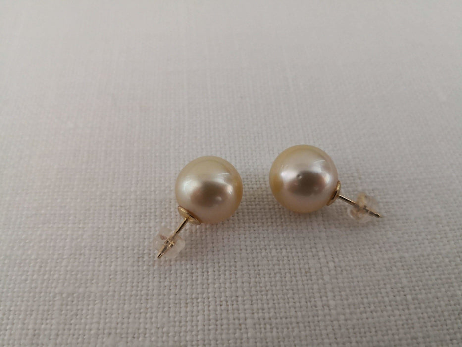 South Sea Pearls Earrings, 12 mm Round, Golden Color 14 Karats - Only at  The South Sea Pearl