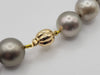 Tahiti Pearls 12-14 mm Fancy Color, 18 Karat Gold Clasp - The South Sea Pearl