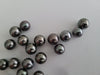 Tahiti Pearls 9 mm Round, High Luster. Wholesale Lot 20 pcs - Only at  The South Sea Pearl